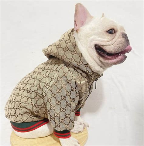 gucci topcoat|gucci coats for pets.